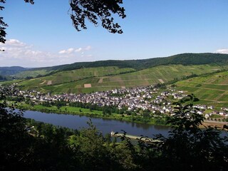 Apartamento de vacaciones Enkirch  14