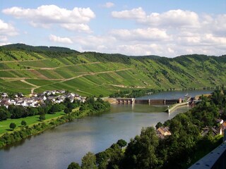 Appartamento per vacanze Enkirch Ambiente 19