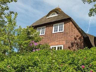 Ferienhaus List Außenaufnahme 58