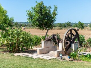 Finca Campos Grabación al aire libre 31