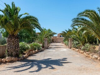 Finca Campos Grabación al aire libre 33