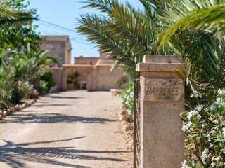 Tenuta Campos Registrazione all'aperto 34