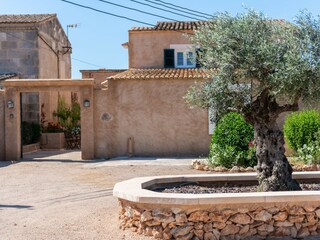 Tenuta Campos Registrazione all'aperto 35