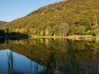 Waldsee Rieden