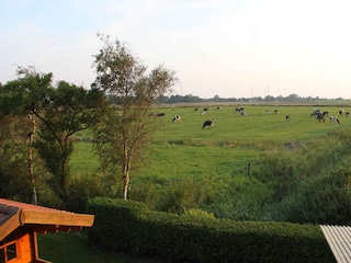 Blick aus dem Dachfenster