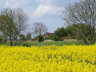 Ihr Landhaus mitten im Grünen