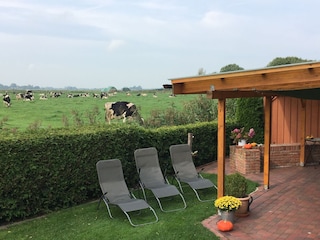 relaxen auf der Terrasse