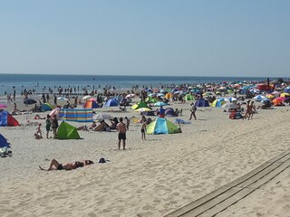 Bungalow Zoutelande Ambiente 19