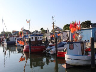 Appartamento per vacanze Niendorf (Ostsee) Ambiente 22