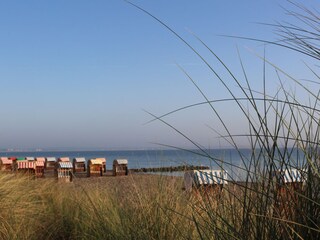 Appartamento per vacanze Niendorf (Ostsee) Ambiente 20