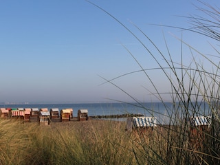 Rund sieben Kilometer Sandstrand