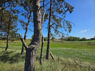 Vakantiehuis Kegnæs  14