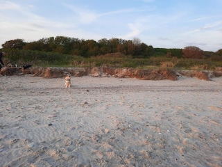 Ferienhaus Kegnæs  32