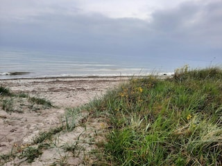 Ferienhaus Kegnæs  16