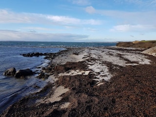 Ferienhaus Kegnæs  18