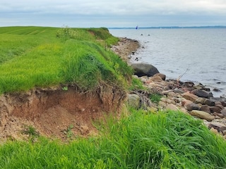 Ferienhaus Kegnæs  36