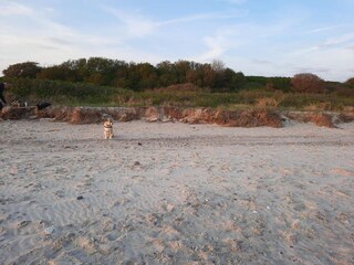 Vakantiehuis Kegnæs  36