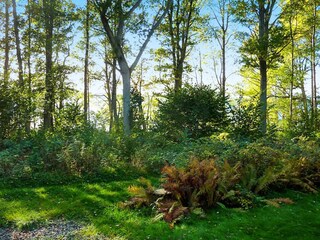 Ferienhaus Klavreström  15