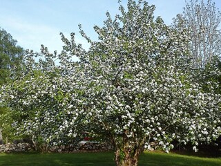 Vakantiehuis Sjövik  17