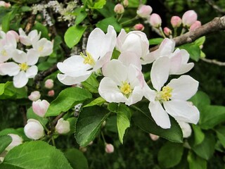 Casa de vacaciones Sjövik  20