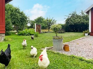 Ferienhaus Adelsö Außenaufnahme 5
