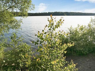 Casa de vacaciones Adelsö  12