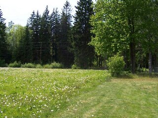 Ferienhaus Lammhult Außenaufnahme 5