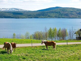 Casa per le vacanze Nordli  11