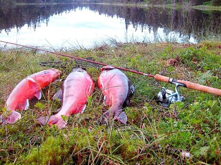 Vakantiehuis Nordli  12