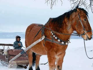 Holiday house Nordli  15