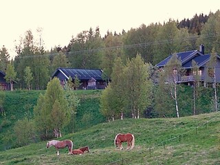 Casa de vacaciones Nordli  16