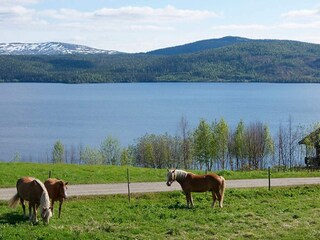 Casa de vacaciones Nordli  23