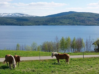 Ferienhaus Nordli  11