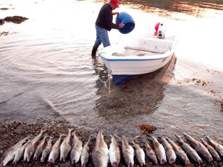 Maison de vacances Engavågen  23
