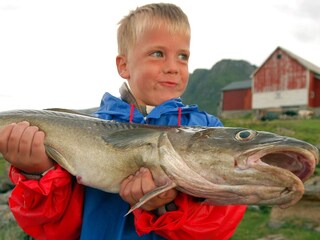 Vakantiehuis Engavågen  4