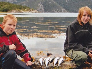 Maison de vacances Foldereid  5