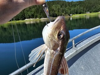 Vakantiehuis Foldereid  23