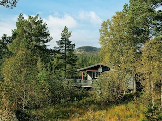 Ferienhaus Bygland Außenaufnahme 2