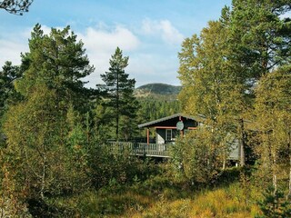 Vakantiehuis Bygland Buitenaudio-opname 4