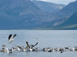 Casa per le vacanze Alsvåg  18
