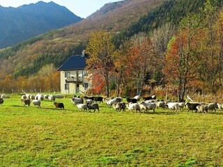 Casa de vacaciones Alsvåg  15