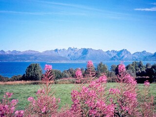 Maison de vacances Alsvåg  23