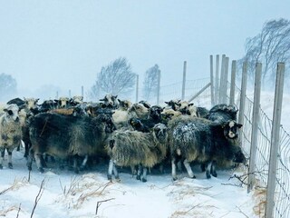 Maison de vacances Alsvåg  26
