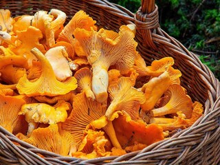 Holiday house Torsby  5