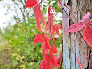 Casa per le vacanze Backaryd  23