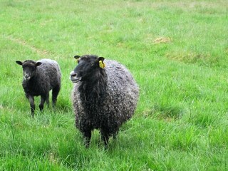 Holiday house Bankeryd  17