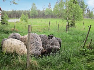 Vakantiehuis Bankeryd  10