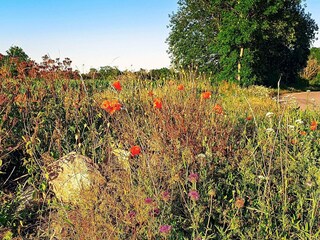 Vakantiehuis Köpingsvik Buitenaudio-opname 2
