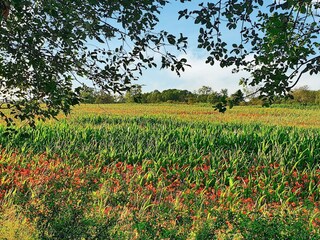 Vakantiehuis Köpingsvik Buitenaudio-opname 4
