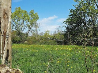 Casa per le vacanze Köpingsvik Registrazione all'aperto 4